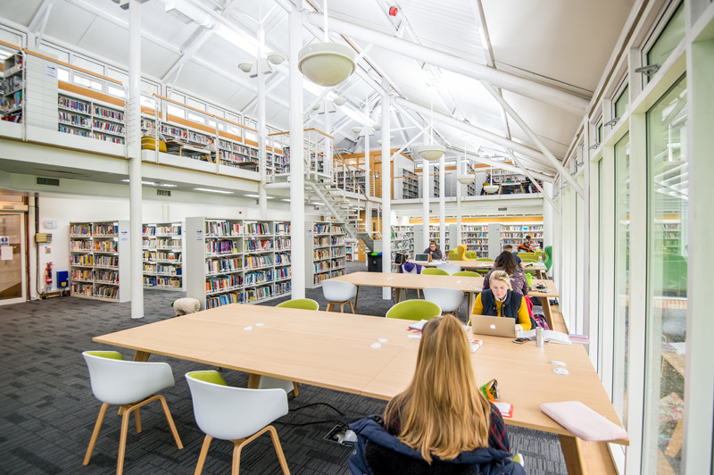 Students working in library